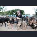 Filmwelt Verleihagentur: Cody - Wie ein Hund die Welt verändert
