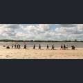 Filmwelt Verleihagentur: Beule - „Beule“ & Friends auf dem Weg zu einem besonderen Event am norddeutschen Strand - © ELEMENT E