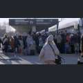 Filmwelt Verleihagentur: Solidarity