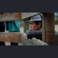 Filmwelt Verleihagentur: The new west - Jesse (Jesse Thorson) ist ein herausragender Reiter und Pferdetrainer auf der Zimiga-Ranch in THE NEW WEST