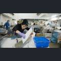 Filmwelt Verleihagentur: Salz und Wasser