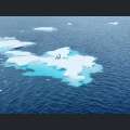 Filmwelt Verleihagentur: Salz und Wasser