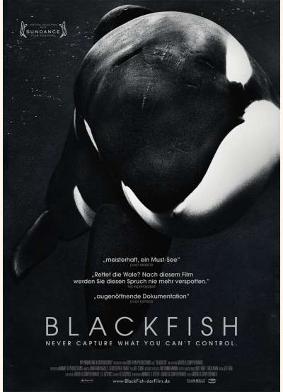 Filmwelt Verleihagentur: Blackfish - Kino